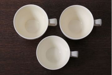 イギリスビンテージ　MIDWINTER(ミッドウィンター)　WILDGEESE(ワイルドギース)シリーズ　カップ&ソーサー3客セット(洋食器)