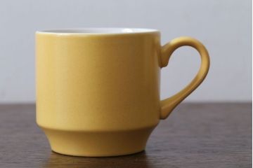 イギリスビンテージ　MIDWINTER(ミッドウィンター)　PUSSY WILLOW(プッシーウィロウ)シリーズ　カップ&ソーサー6客セット(洋食器)