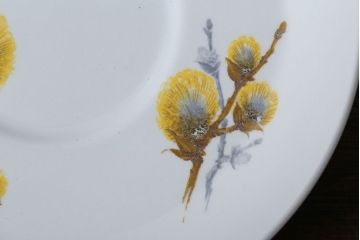 イギリスビンテージ　MIDWINTER(ミッドウィンター)　PUSSY WILLOW(プッシーウィロウ)シリーズ　カップ&ソーサー6客セット(洋食器)