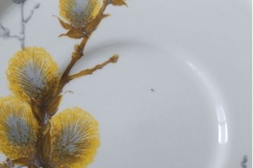 イギリスビンテージ　MIDWINTER(ミッドウィンター)　PUSSY WILLOW(プッシーウィロウ)シリーズ　カップ&ソーサー6客セット(洋食器)