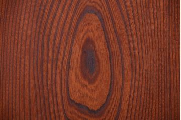 古民具・骨董　明治〜大正期　総欅材!アンティーク蔵戸(玄関戸)