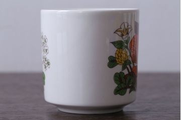 イギリスビンテージ　MARKS&SPENCER(マークス&スペンサー)　POPPIES(ポピーズ)シリーズ　カップ&ソーサー5客セット(洋食器)