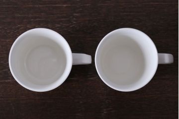 アンティーク雑貨　イギリスビンテージ　J&G　MEAKIN(ミーキン)　Palma(パルマ)シリーズ カップ&ソーサー2客セット(洋食器)