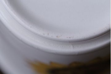 アンティーク雑貨　イギリスビンテージ　J&G　MEAKIN(ミーキン)　Palma(パルマ)シリーズ カップ&ソーサー2客セット(洋食器)