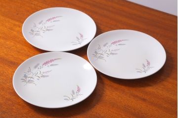 アンティーク雑貨　イギリスビンテージ　J&G　MEAKIN(ミーキン)　ROMANY(ロマニー)シリーズ　ディナープレート3枚セット(洋食器)(1)