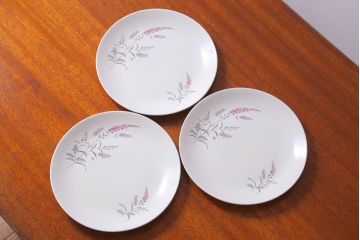 アンティーク雑貨　イギリスビンテージ　J&G　MEAKIN(ミーキン)　ROMANY(ロマニー)シリーズ　ディナープレート3枚セット(洋食器)(1)