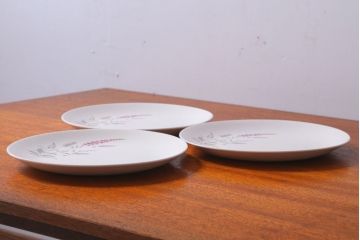 アンティーク雑貨　イギリスビンテージ　J&G　MEAKIN(ミーキン)　ROMANY(ロマニー)シリーズ　ディナープレート3枚セット(洋食器)(1)