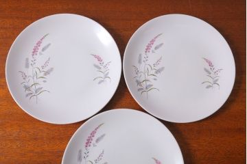 アンティーク雑貨　イギリスビンテージ　J&G　MEAKIN(ミーキン)　ROMANY(ロマニー)シリーズ　ディナープレート3枚セット(洋食器)(1)