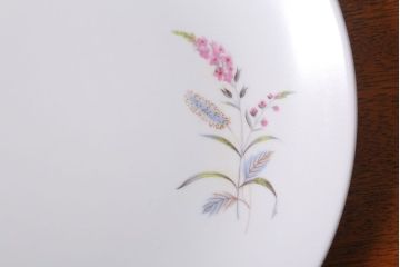 アンティーク雑貨　イギリスビンテージ　J&G　MEAKIN(ミーキン)　ROMANY(ロマニー)シリーズ　ディナープレート3枚セット(洋食器)(1)