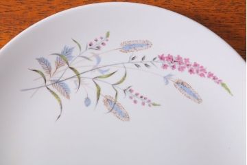 アンティーク雑貨　イギリスビンテージ　J&G　MEAKIN(ミーキン)　ROMANY(ロマニー)シリーズ　ディナープレート3枚セット(洋食器)(1)