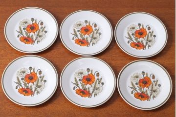 アンティーク雑貨　イギリスビンテージ　J&G　MEAKIN(ミーキン) POPPY(ポピー)シリーズ　プレート6枚セット(洋食器)