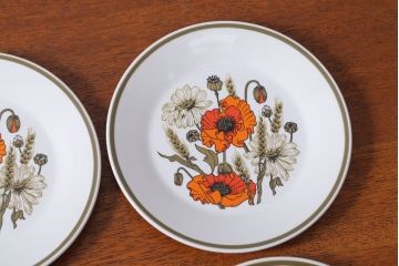 アンティーク雑貨　イギリスビンテージ　J&G　MEAKIN(ミーキン) POPPY(ポピー)シリーズ　プレート6枚セット(洋食器)