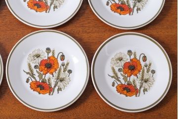 アンティーク雑貨　イギリスビンテージ　J&G　MEAKIN(ミーキン) POPPY(ポピー)シリーズ　プレート6枚セット(洋食器)