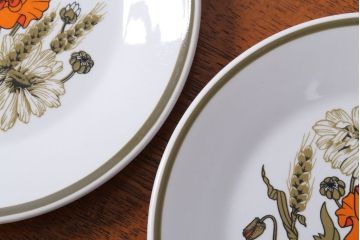 アンティーク雑貨　イギリスビンテージ　J&G　MEAKIN(ミーキン) POPPY(ポピー)シリーズ　プレート6枚セット(洋食器)