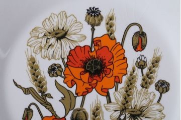 アンティーク雑貨　イギリスビンテージ　J&G　MEAKIN(ミーキン) POPPY(ポピー)シリーズ　プレート6枚セット(洋食器)
