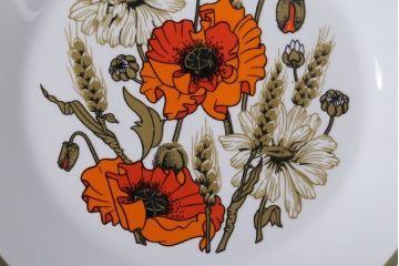 アンティーク雑貨　イギリスビンテージ　J&G　MEAKIN(ミーキン) POPPY(ポピー)シリーズ　プレート6枚セット(洋食器)