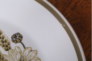 アンティーク雑貨　イギリスビンテージ　J&G　MEAKIN(ミーキン) POPPY(ポピー)シリーズ　プレート6枚セット(洋食器)
