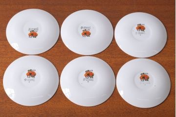 アンティーク雑貨　イギリスビンテージ　J&G　MEAKIN(ミーキン) POPPY(ポピー)シリーズ　プレート6枚セット(洋食器)