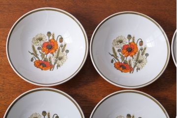 アンティーク雑貨　イギリスビンテージ　J&G　MEAKIN(ミーキン)　POPPY(ポピー)シリーズ　深皿6点セット(洋食器)
