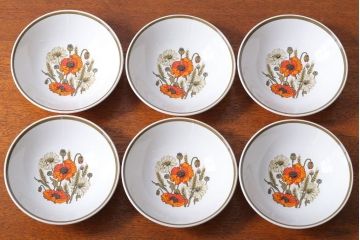 アンティーク雑貨　イギリスビンテージ　J&G　MEAKIN(ミーキン)　POPPY(ポピー)シリーズ　深皿6点セット(洋食器)