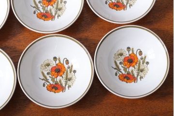 アンティーク雑貨　イギリスビンテージ　J&G　MEAKIN(ミーキン)　POPPY(ポピー)シリーズ　深皿6点セット(洋食器)