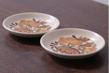 イギリスビンテージ　Palissy(パリシー)　kismet(キスメット)シリーズ　小皿2枚セット(洋食器)