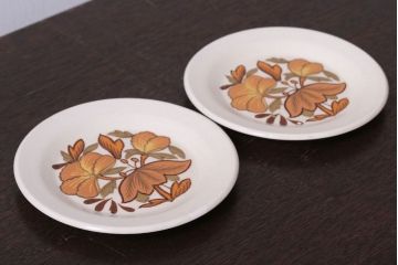 アンティーク雑貨　イギリスビンテージ　Palissy(パリシー)　kismet(キスメット)シリーズ　平皿2枚セット(1)(洋食器)