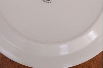 イギリスビンテージ　Palissy(パリシー)　kismet(キスメット)シリーズ　ディナープレート3枚セット(2)(洋食器)