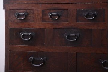 アンティーク家具　古民具・骨董　前面欅材!和紙張り引き戸のアンティーク茶箪笥