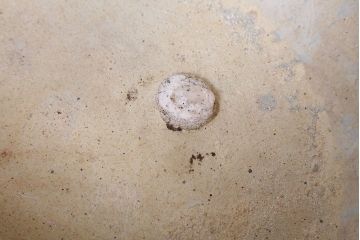 アンティーク雑貨　古民具・骨董　扇に花の図　アンティーク染付瀬戸火鉢