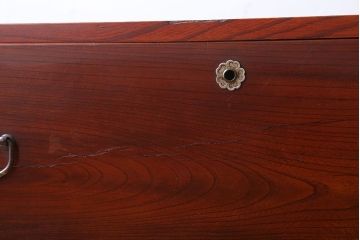 アンティーク家具　和製アンティーク　前面欅材!漆塗りの衣装箪笥ローボード(2)