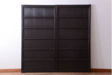 古民具・骨董　明治〜大正期　古い木味のアンティーク舞良戸2枚セット