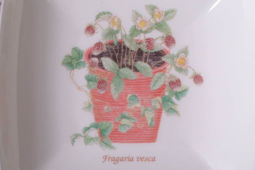 アンティーク雑貨　イギリスWedgwood(ウェッジウッド)　SARAH'S GARDEN(サラズガーデン)　角皿2枚セット(洋食器)