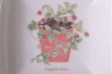 アンティーク雑貨　イギリスWedgwood(ウェッジウッド)　SARAH'S GARDEN(サラズガーデン)　角皿2枚セット(洋食器)