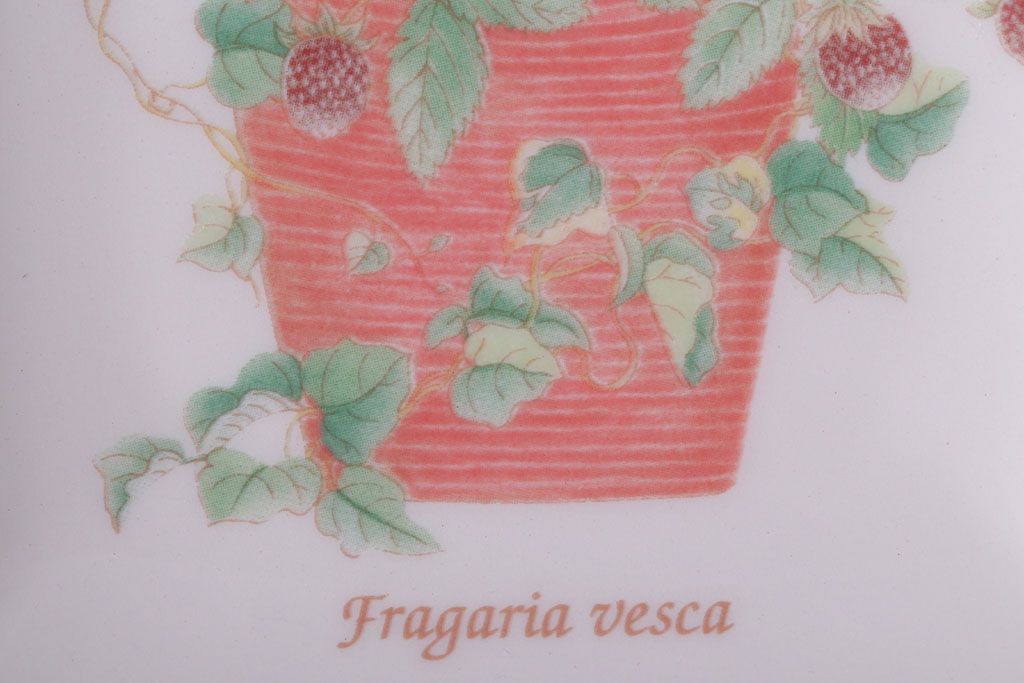 アンティーク雑貨　イギリスWedgwood(ウェッジウッド)　SARAH'S GARDEN(サラズガーデン)　角皿2枚セット(洋食器)