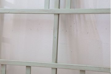 アンティーク　ミントグリーンペイントのガラス戸2枚セット(窓)(1)