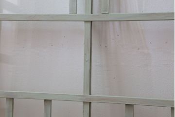 アンティーク　ミントグリーンペイントのガラス戸2枚セット(窓)(2)