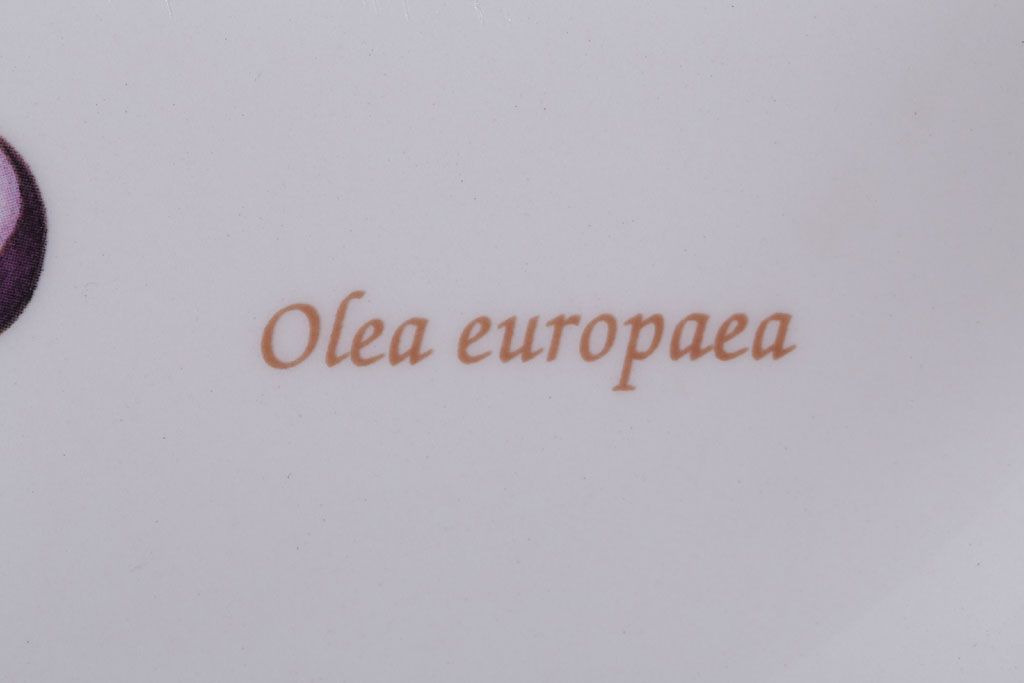 アンティーク雑貨　中古　イギリス　Wedgwood(ウェッジウッド)　サラズガーデン　大皿(パスタボール)(洋食器)