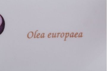 アンティーク雑貨　中古　イギリス　Wedgwood(ウェッジウッド)　サラズガーデン　大皿(パスタボール)(洋食器)