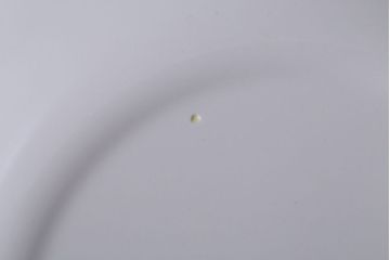 アンティーク雑貨　中古　イギリス　Wedgwood(ウェッジウッド)　サラズガーデン　大皿(パスタボール)(洋食器)