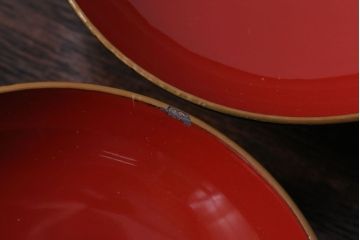 アンティーク雑貨　アンティーク　大正〜昭和初期　木製の鶴亀蒔絵椀6客セット(漆器)