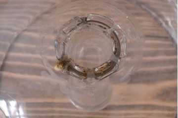 アンティーク雑貨　和製アンティーク　レトロ　大きなガラス鉢(金魚鉢・飾り鉢)