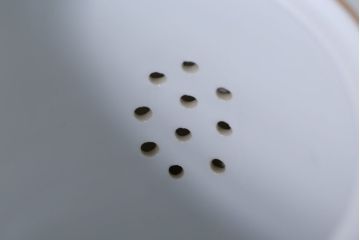 アンティーク雑貨　中古　ノリタケ(Noritake)　シェイプが美しい白いポット(洋食器)