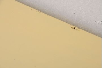 アンティーク家具　アンティークペイント　気泡ガラス戸のおしゃれなローボード