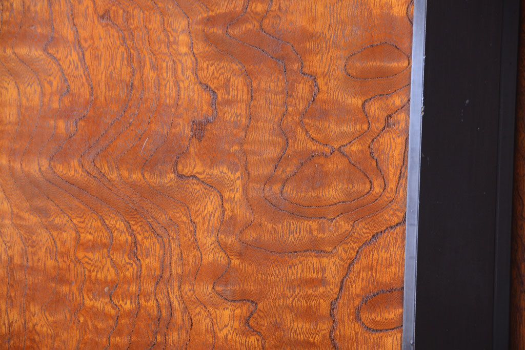 和製アンティーク　鏡板欅材!古い木のドア(扉)(2)