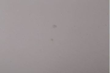 アンティーク雑貨　ビンテージ　スイスSpring(スプリング)　銅製オーバルパン