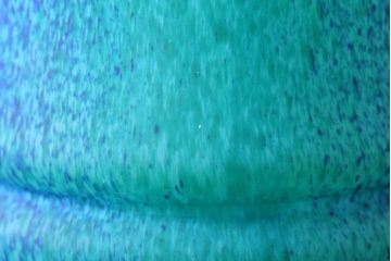 アンティーク雑貨　岩田久利　一節花瓶(ガラス)