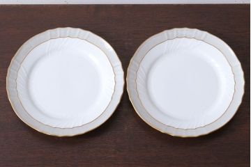 アンティーク雑貨　中古　イタリアRichard Ginori(リチャードジノリ)　ベッキオグレース　プレート2枚セット(洋食器)