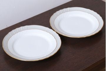 アンティーク雑貨　中古　イタリアRichard Ginori(リチャードジノリ)　ベッキオグレース　プレート2枚セット(洋食器)