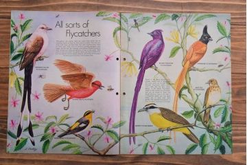 アンティーク雑貨　イギリスビンテージ　1972年　Once Upon a Time 児童雑誌(絵本)4冊セット